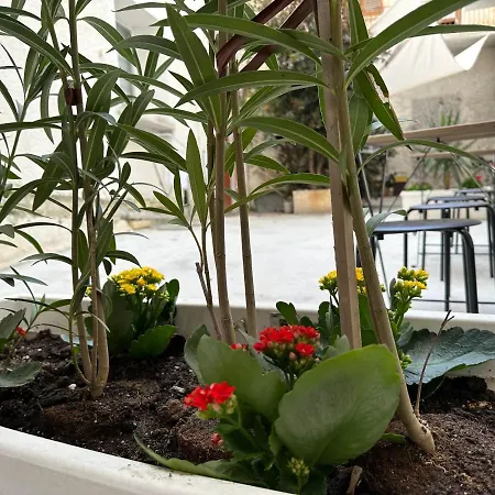 Appartement La Corte 25