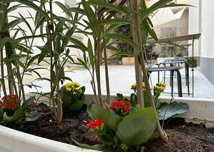 Apartamento La Corte 25